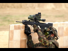 https://image.noelshack.com/fichiers/2013/03/1358559268-famas-felin-g.jpg