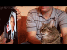 https://image.noelshack.com/fichiers/2013/04/1358804456-1351076146775.gif