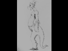 https://image.noelshack.com/fichiers/2013/04/1358896496-turnaround.gif