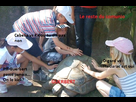 https://image.noelshack.com/fichiers/2013/04/1359281622-ddc6f4d37804d121922a8237c202c34d-1297944843-img-0234.jpg