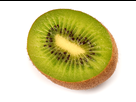 https://image.noelshack.com/fichiers/2013/05/1359401539-kiwi-actinidia-chinensis-2-luc-viatour.jpg