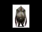 https://image.noelshack.com/fichiers/2013/05/1359440765-m53.png