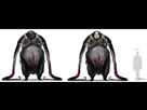 https://image.noelshack.com/fichiers/2013/05/1359440768-m54.png