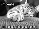 https://image.noelshack.com/fichiers/2013/05/1359828135-imoune.jpg