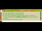 https://image.noelshack.com/fichiers/2013/05/1359927849-dofus-salace.png