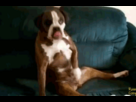 https://image.noelshack.com/fichiers/2013/06/1359994655-tumblr-mh6ow8jd4a1r3gb3zo1-400.gif