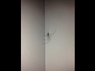 https://image.noelshack.com/fichiers/2013/06/1360002528-iphone-image-02-04-2013.jpg