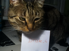 https://image.noelshack.com/fichiers/2013/06/1360004686-iphone-image-02-04-2013.jpg