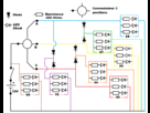 https://image.noelshack.com/fichiers/2013/06/1360259803-circuit-2.png