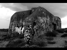 https://image.noelshack.com/fichiers/2013/06/1360265541-blockhaus-bunker-casemate-00.jpg