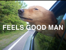 https://image.noelshack.com/fichiers/2013/06/1360333329-feels-good-man-dog-text.jpg