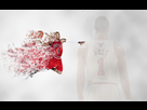 https://image.noelshack.com/fichiers/2013/06/1360410805-derrick-rose-2.jpg