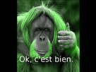 https://image.noelshack.com/fichiers/2013/06/1360435004-singevert.png