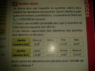 https://image.noelshack.com/fichiers/2013/06/1360522986-1360522661830.jpg