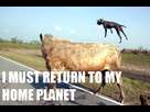 https://image.noelshack.com/fichiers/2013/06/1360523351-i-must-return-to-my-home-planet-my-people-need-me.jpg