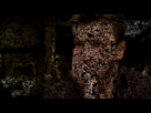 https://image.noelshack.com/fichiers/2013/07/1360593918-oc0oz.gif