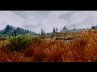 https://image.noelshack.com/fichiers/2013/07/1360763882-skyrim-enb2.png