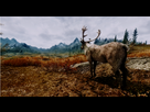 https://image.noelshack.com/fichiers/2013/07/1360763907-skyrim-enb3png.png