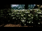 https://image.noelshack.com/fichiers/2013/07/1360764022-skyrim-enb7.png