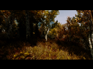 https://image.noelshack.com/fichiers/2013/07/1360764107-skyrim-enb9.png