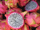 https://image.noelshack.com/fichiers/2013/07/1360784836-pitaya-fruit-du-dragon-visoflora-1563.jpg