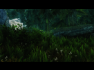https://image.noelshack.com/fichiers/2013/07/1360936854-screenshot35.png