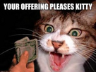 https://image.noelshack.com/fichiers/2013/07/1360977228-funny-cat-pictures-13-300x225.jpg