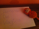 https://image.noelshack.com/fichiers/2013/07/1361130252-iphone-image-02-17-2013.jpg