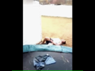 https://image.noelshack.com/fichiers/2013/08/1361149318-1360622983925.gif