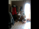 https://image.noelshack.com/fichiers/2013/08/1361281631-photo0392.jpg