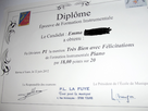 https://image.noelshack.com/fichiers/2013/08/1361287722-dscf1168r.jpg