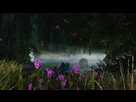 https://image.noelshack.com/fichiers/2013/08/1361384634-bigger-trees-3.jpg