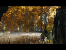 https://image.noelshack.com/fichiers/2013/08/1361384635-bigger-trees-2.jpg