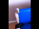 https://image.noelshack.com/fichiers/2013/08/1361433805-media-l-5576284.jpg