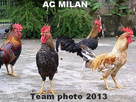 https://image.noelshack.com/fichiers/2013/08/1361567823-385511.jpg