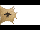 https://image.noelshack.com/fichiers/2013/08/1361646142-amerindiens-annashinabeg-state-flag-002.png