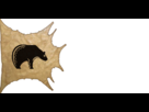 https://image.noelshack.com/fichiers/2013/08/1361646143-amerindiens-cree-state-flag-002.png