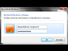 https://image.noelshack.com/fichiers/2013/08/1361653747-authentification-reseau.png