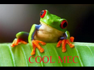 https://image.noelshack.com/fichiers/2013/08/1361727088-coolmec.png