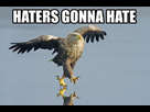 https://image.noelshack.com/fichiers/2013/09/1361805650-falconhatersgonnahate.jpg
