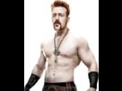 https://image.noelshack.com/fichiers/2013/09/1362093985-sheamus-2012cutbyjibunjishin7.png