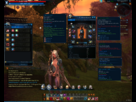 https://image.noelshack.com/fichiers/2013/09/1362122974-tera-screenshot-20130301-082431.png