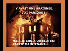 https://image.noelshack.com/fichiers/2013/09/1362218258-araignee.jpg