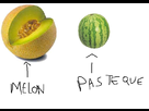 https://image.noelshack.com/fichiers/2013/09/1362267012-treterterter.jpg