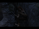 https://image.noelshack.com/fichiers/2013/10/1362503776-tombraider-2013-03-05-16-04-47-56.jpg