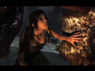https://image.noelshack.com/fichiers/2013/10/1362503817-tombraider-2013-03-05-16-38-14-90.jpg