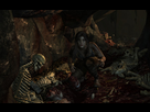 https://image.noelshack.com/fichiers/2013/10/1362503947-tombraider-2013-03-05-17-09-10-44.jpg