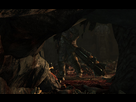 https://image.noelshack.com/fichiers/2013/10/1362503950-tombraider-2013-03-05-17-09-22-11.jpg