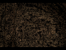 https://image.noelshack.com/fichiers/2013/10/1362581597-1332944074-25427882.gif