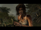 https://image.noelshack.com/fichiers/2013/10/1362785901-tombraider-2013-03-06-23-20-27-02.png